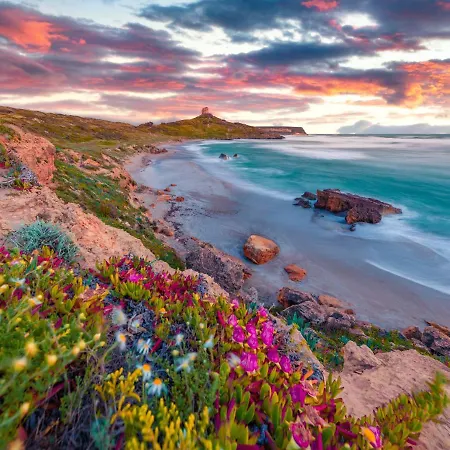 In Centro Da Viola - Eco Design Olbia