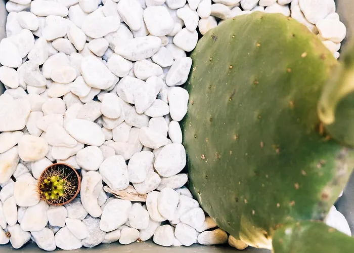 In Centro Da Viola - Eco Design Vendégház 3*