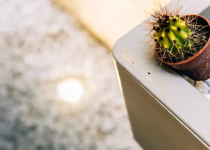 In Centro Da Viola - Eco Design Pensionat