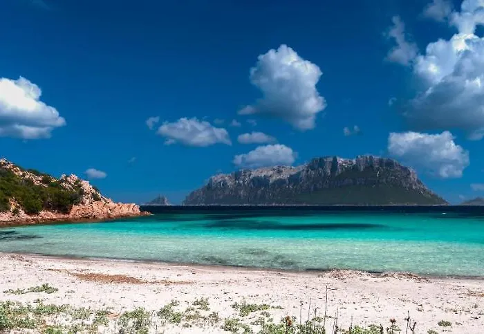 In Centro Da Viola - Eco Design 3* Olbia