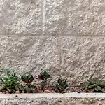 In Centro Da Viola - Eco Design