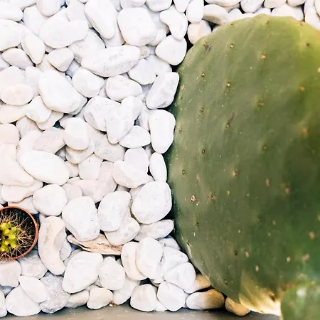 In Centro Da Viola - Eco Design Гостьовий будинок 3*