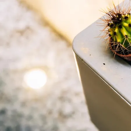In Centro Da Viola - Eco Design بيت ضيافة