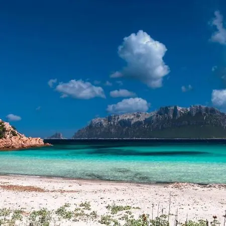 In Centro Da Viola - Eco Design 3* Ольбія