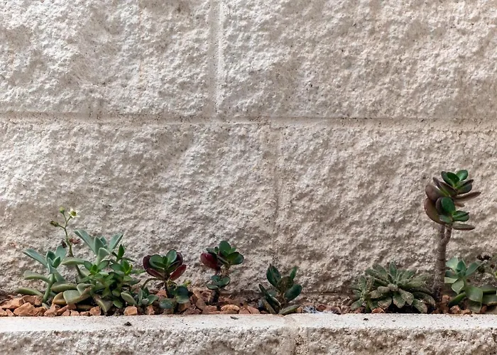 In Centro Da Viola - Eco Design